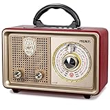 PRUNUS J-110 FM/Am/SW Radio Portatil Pequeña Bluetooth, Radio Vintage con clásico gabinete de Madera. Radio Retro con Excelente Recepción, Altavoz de 5W Incorporado, Reproductor USB/TF/AUX (Plata)